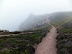 Pagth around St Agnes Head