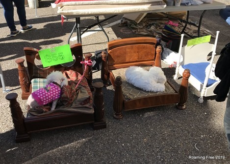 Dog beds - seriously?