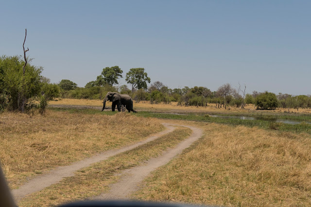 Botswana et Zimbabwe en octobre BotsZim_Oct2015_162