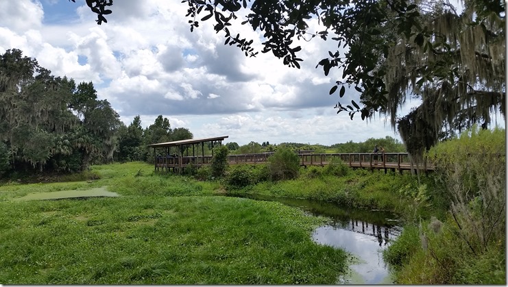 VIew of boardwalk