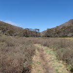 Walking along the Thredbo River track (83590)