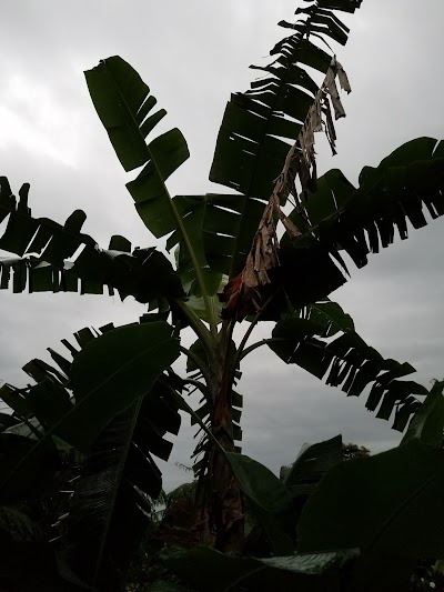 Photos of Arenal Natura Ecological Park