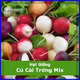 Hạt Giống Củ Cải Trứng Tròn Mix Nhiều Màu (100 Hạt)