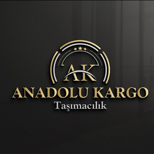 ANADOLU EXPRES logo