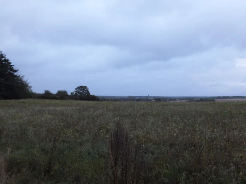 View from Sally Beans House, Northrepps