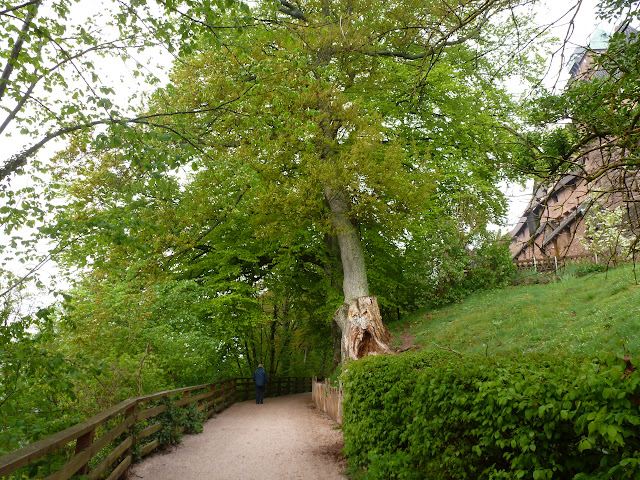 Castillo Haut-Koenigsbourg, Ribeauvillé, Riquewihr y Kaisersberg - ALSACIA, o  COMO  VIAJAR POR UN MUNDO DE CUENTO, HISTORIA Y LEYENDA (4)