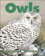 Owls 2