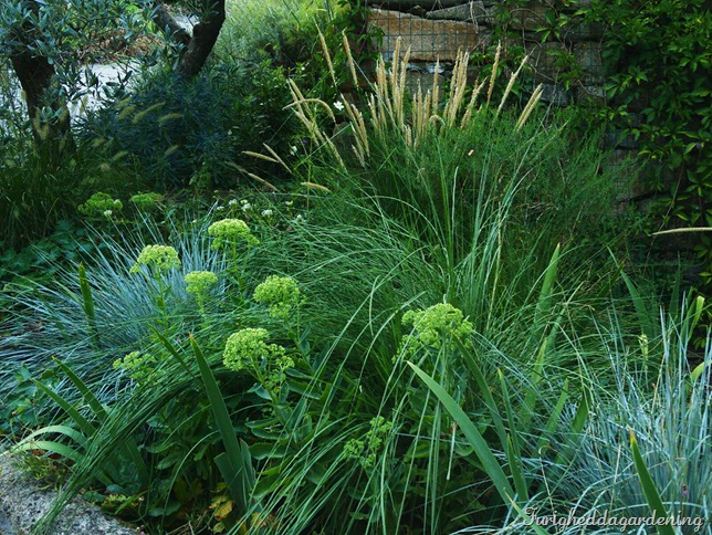 grasses border detail 1