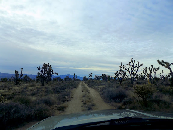 Road south from White Rock Spring