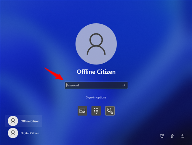 Opciones de inicio de sesión de Windows 11: Contraseña