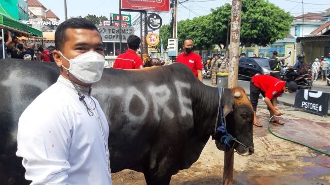 Putra Siregar dan Atta Halilintar Sempat Bersaing Berebut Sapi Limosin