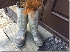 Eastern Shore boots