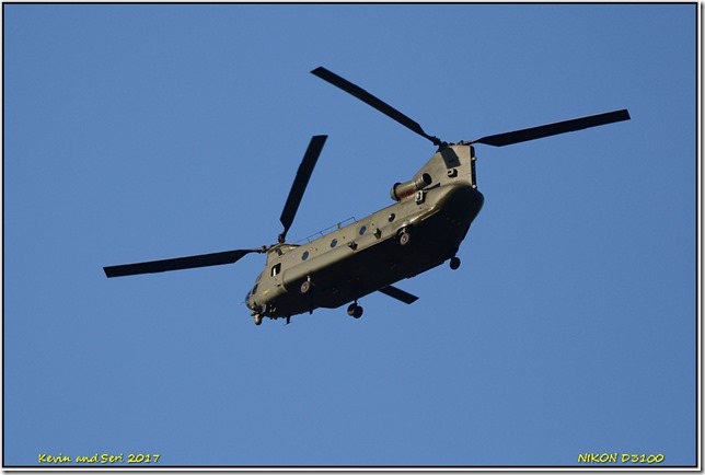 Donna Nook - November