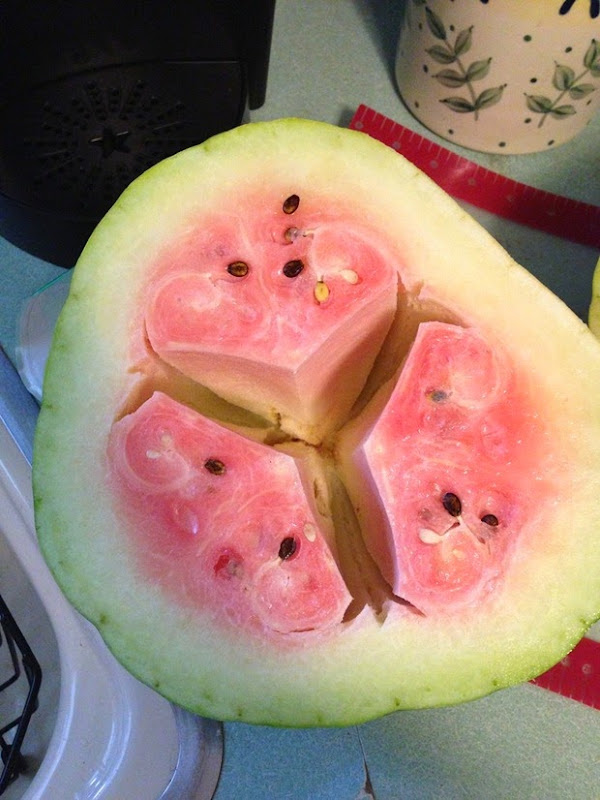 hollow-heart-watermelon-3