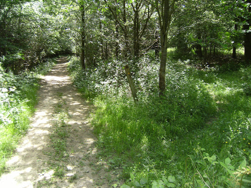 1006160012 Eden Valley Walk between Hill Hoath and Wellers Town Road