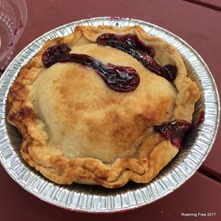 Small grape pie