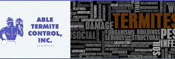 Profile cover photo