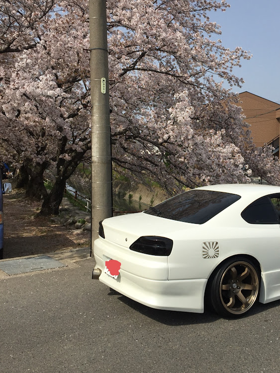 シルビアのドライブ・お花見🌸・桜とコラボ・桜と愛車に関するカスタム事例の投稿画像5枚目