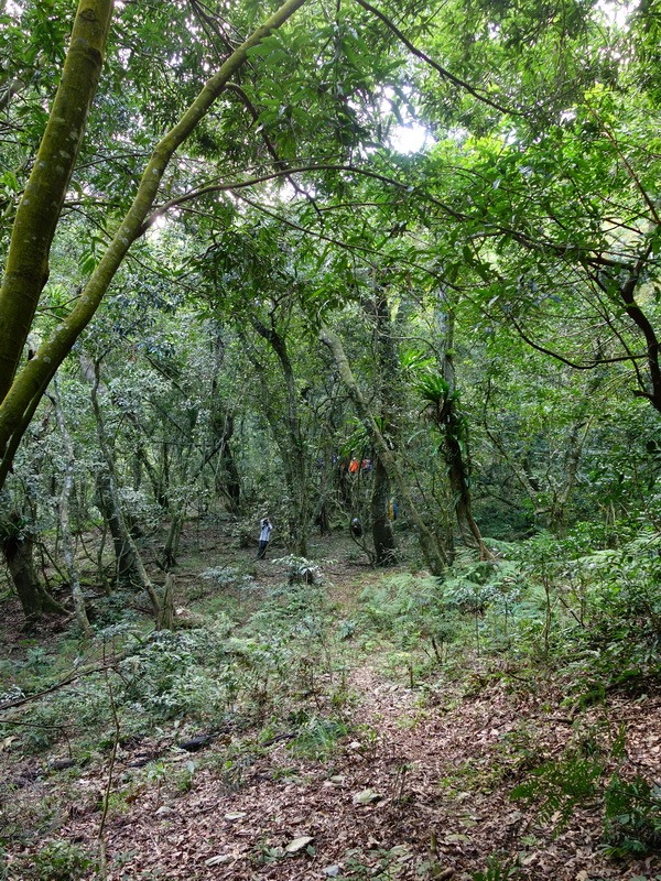 2014_0101-0105 萬山神石、萬山岩雕順訪萬頭蘭山_0532