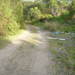 Trail to spit in Belmont Lagoon (390320)