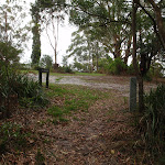 Looking up from the Southern end of Guringai walk (227401)