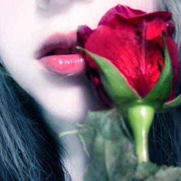 صورة المستخدم