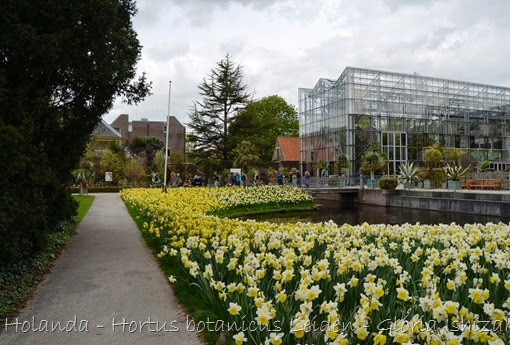 Glória Ishizaka - Hortus Botanicus Leiden - 8