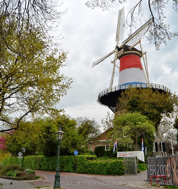 Glória Ishizaka - Leiden - Molen de Valk  22