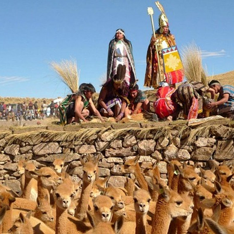 L'oro delle Ande: la cerimonia del Chaccu.