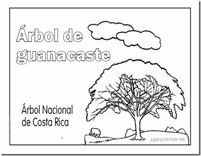 arbol costa rica