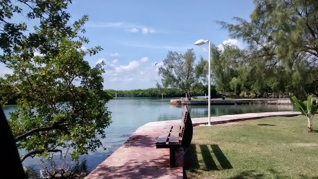 Jardín del arte
