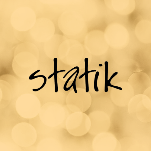 Statik Salon logo