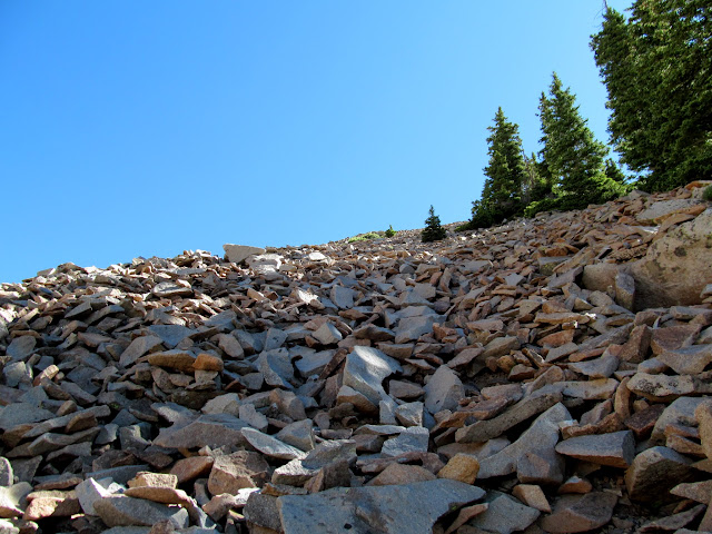 Too-loose talus