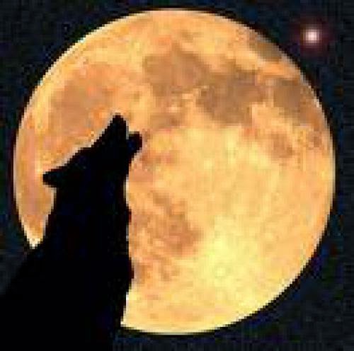 Wolf Moon And Galactic Understanding Begins For 2007