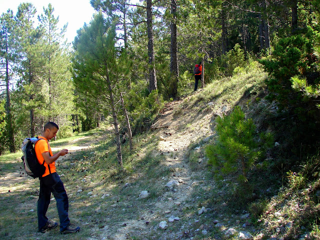 Senderismo - Prats d'En Rubera - Foradada - Gubies Parrizal - Gubies Capatx - Coscollosa