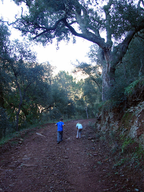 Senderismo - Barranco de Aguas Negras