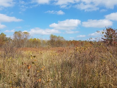 Photos of Beanblossom Bottoms Nature Preserve - Sycamore Land Trust