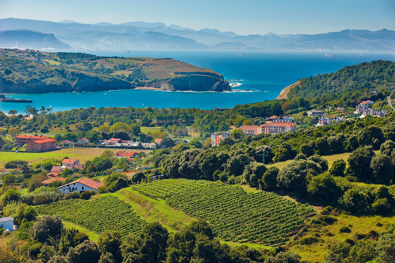 Hauptbild von Bodegas Itsasmendi