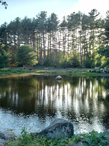 Park «Francis William Bird Park», reviews and photos, 251 Washington St, East Walpole, MA 02032, USA