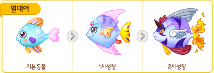 파일:/new_pet/growth/tropicalfish_growth.jpg