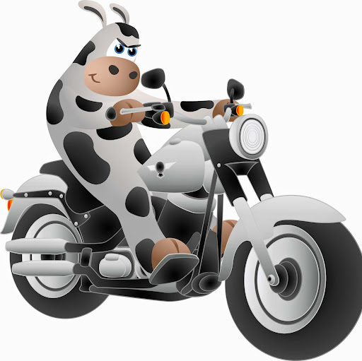 Moo Loans LLC