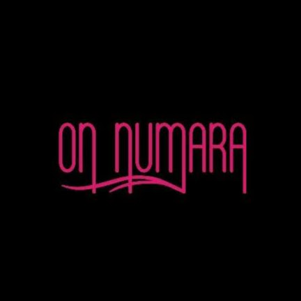 Onnumara Haliç Restoran&Cafe (Halic Number Ten Hookah Cafe) logo