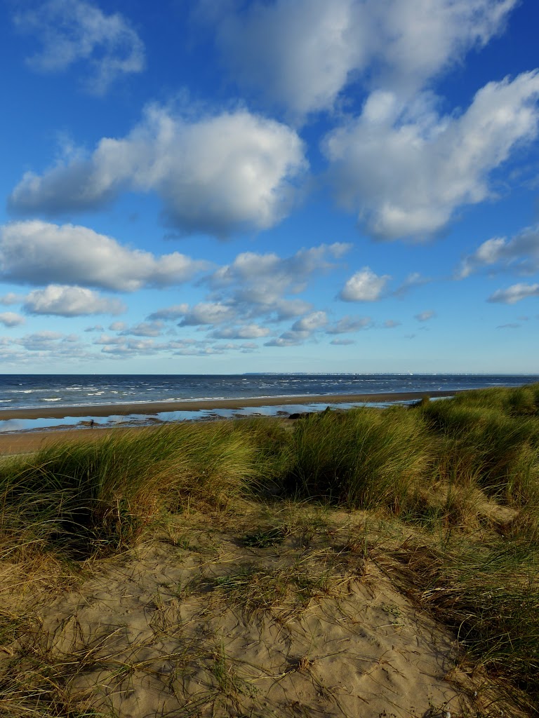 POTD Lumix du 23/11/2015   P1310810_1_2_HDR