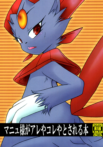 Weavile’s This-And-That Book