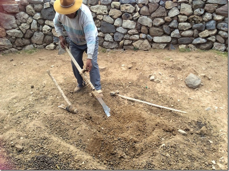 Agricultura rudimentar - Sillustani