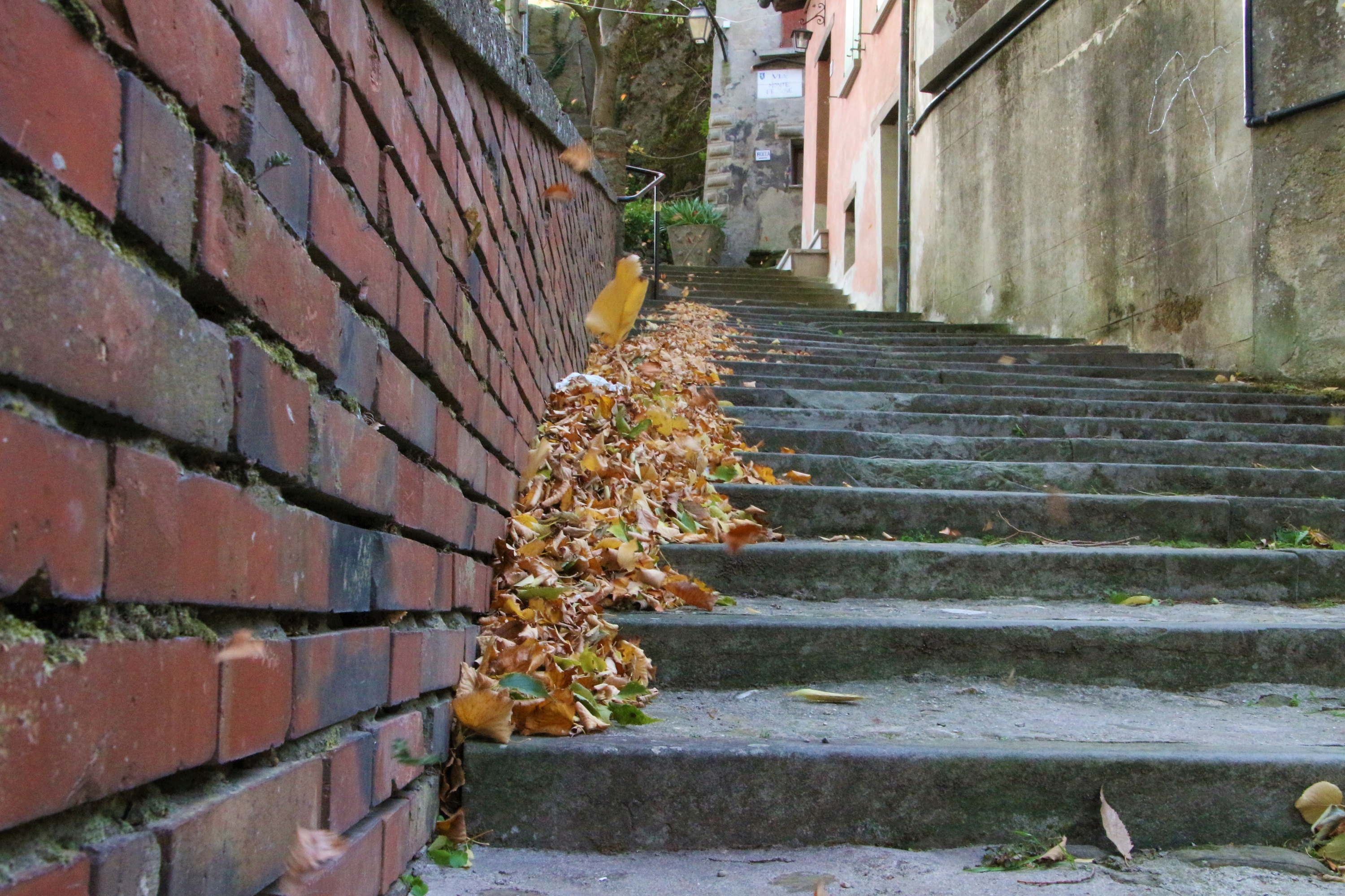 Scala d'autunno di ciuro81