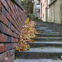 Scala d'autunno di 