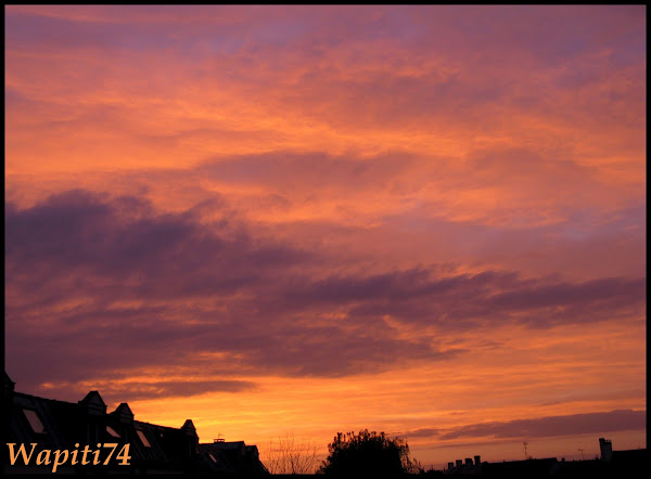 Le ciel va tomber sur notre tête ! - Page 18 IMG_2161_Wap