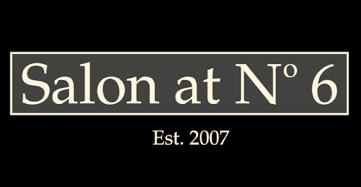 Salon at No 6 LTD logo