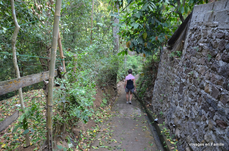 Walking to the waterfalls